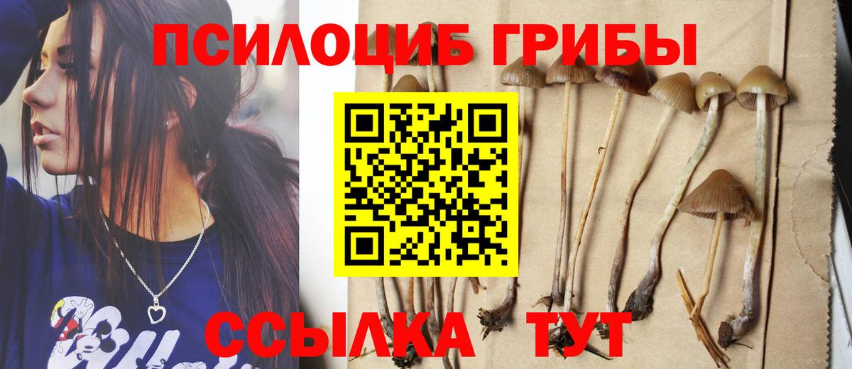 Десногорск  Псилоцибиновые грибы ЛСД  Вход с VPN 